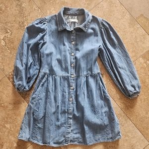 Zara denim dress